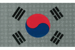 Korean Flag Patch, IR Garrison