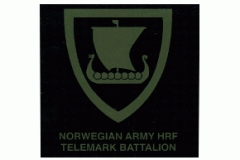 Norway Battalion