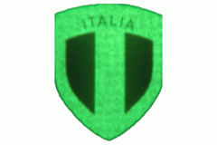 Italian Crest Night Vision View