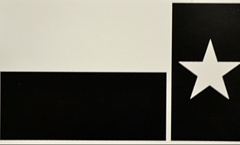 IR Patch, Printed, Texas State Flag, Reverse