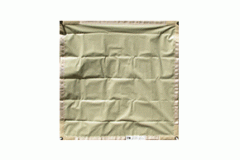 2' x 2' TIP Personal