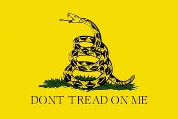 The History of the Dont Tread on Me Patch