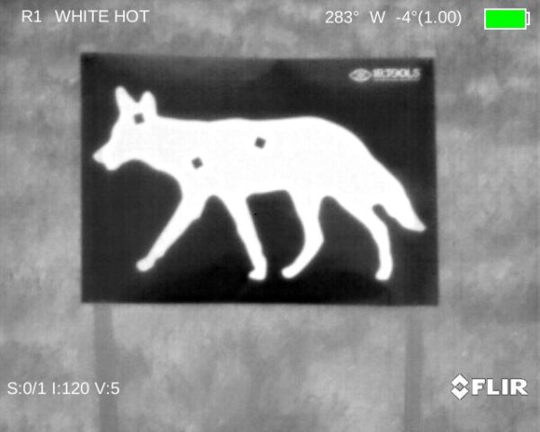 Thermal pasters on upright coyote target, white hot aim points