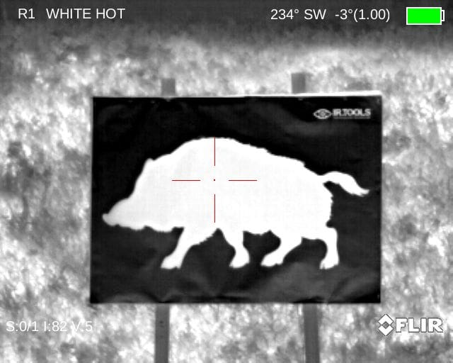 Boar Upright Thermal Target for downrange practice in white hot view