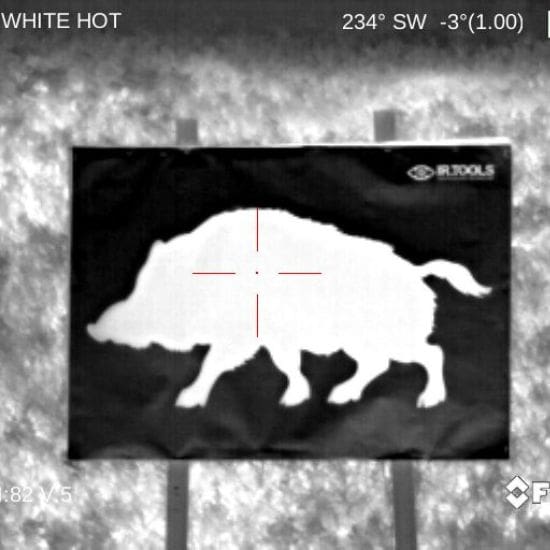 White Hot boar thermal target
